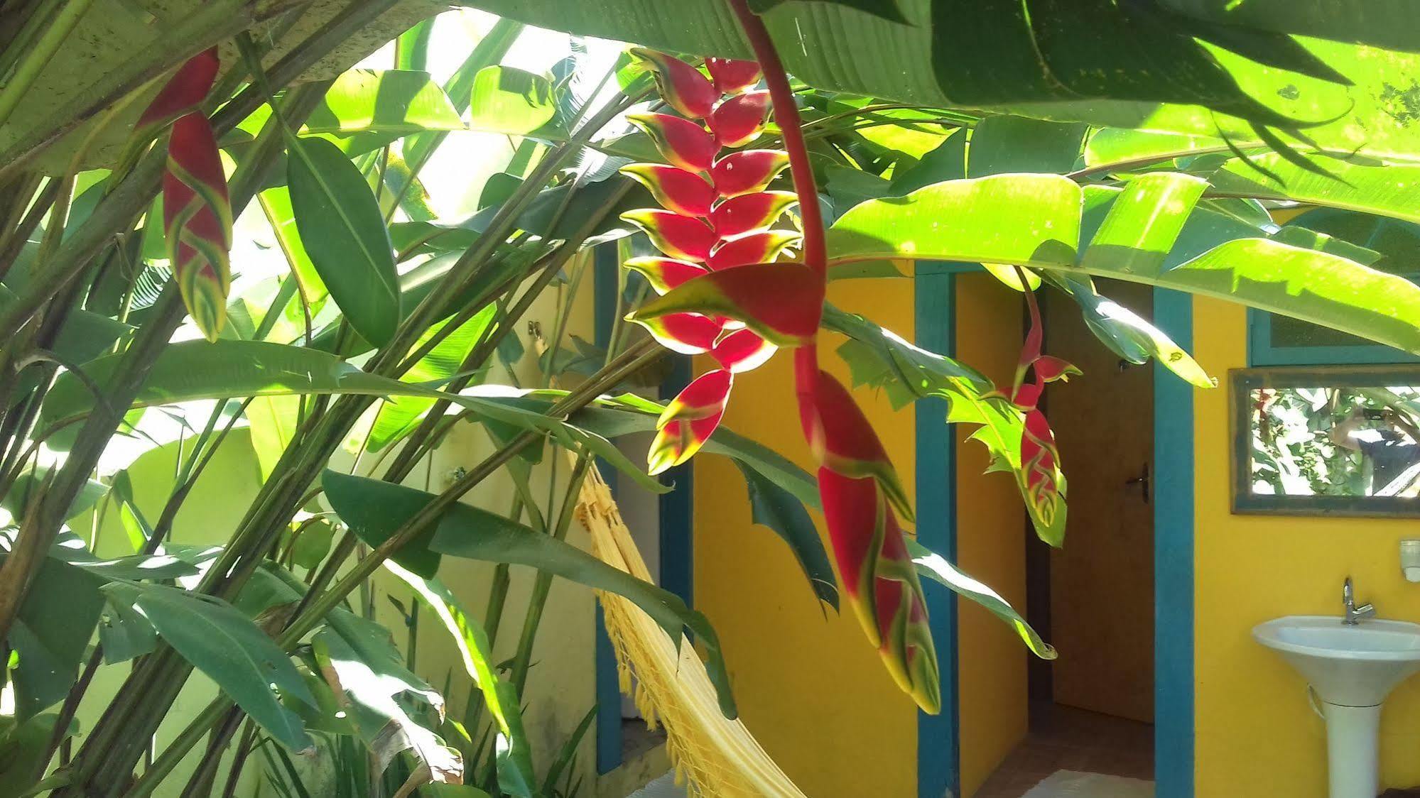Maracuja Hostel Paraty Bagian luar foto